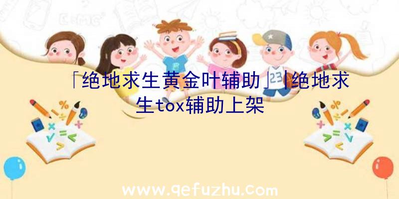 「绝地求生黄金叶辅助」|绝地求生tox辅助上架